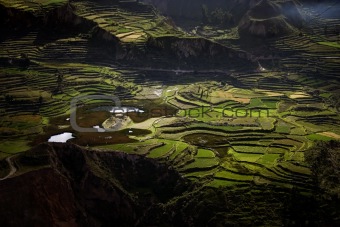 Terraces in Colca Canyon, Peru
