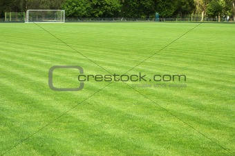 Green soccer field and goal at a distance