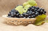 Blue grapes with leaves in wicker