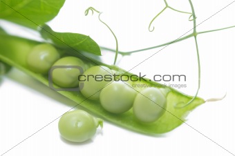 Green peas on white background