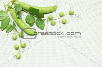 Green peas on linen background