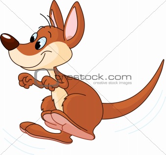 Cute Australian Kangaroo jumping