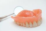 Maxillary dentition