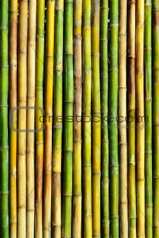 good quality natural bamboo texture