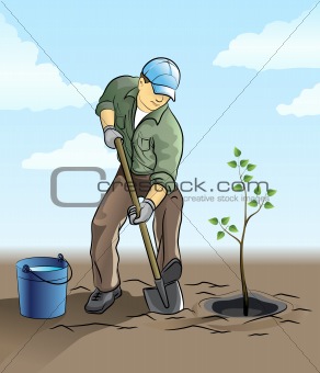 Gardener plant a tree