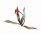 red tulip flower vector sketch