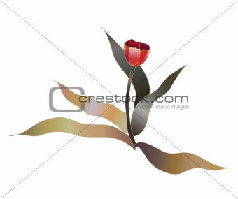red tulip flower vector sketch