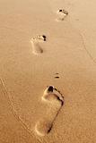 Three human footprints on the beach sand