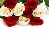 Red and white roses isolated on white