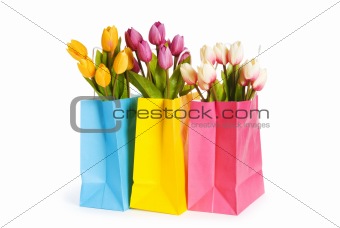 Tulips in shopping bag isolated on white