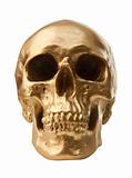 Golden skull on white background