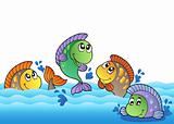 Cute freshwater fishes in river