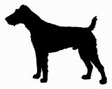 The black silhouette of a Fox Terrier
