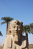 Sphinx Temple of Luxor Egypt