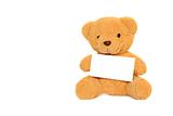 Teddy Bear with blank isolated on white
