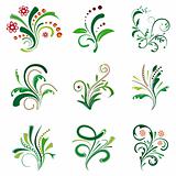 Set of floral design elements