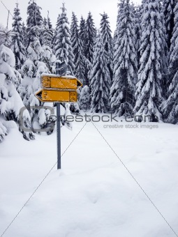 Road sign covered with snow