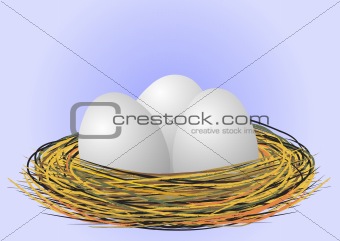 eggs in the nest