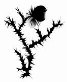 thistle  silhouette