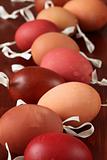 Red and brown egg shells