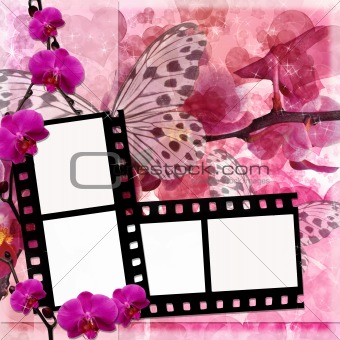 Butterflies and orchids flowers background  with film frame 