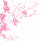 Butterflies and flowers  pink background 