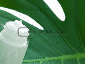 Cream on a leaf