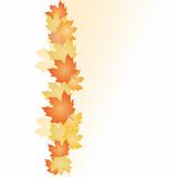 Abstract backgrounds with fall Leafs