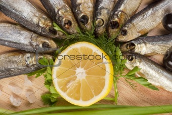 A composition with clupea herring