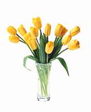beautiful bouquet of yellow tulips in vase isolated on white bac