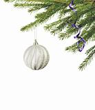 Christmas ball hanging with ribbons on fir tree