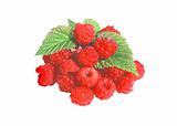 Raspberry with green leaves isolated on white background