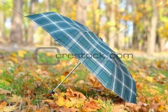 green umbrella over colorful autumn leaves