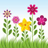 abstract flower background with grass