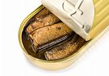 Canned sardines isolated