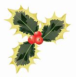Variegated Holly Leaves and Red Berries.  Vector EPS10 Illustration