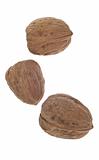 Trio of Shelled Walnuts