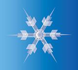 Icy Snowflake.  Vector EPS10 Illustration