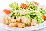 Caesar salad closeup