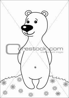 Teddy bear on a meadow, contours