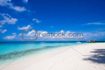 Maldives beach scene