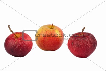 Two old and one fresh apple
