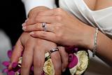 Bride and groom - rings.