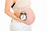 Pregnant woman holding alarm clock near her belly.  Close-up.
