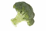 Fresh Green Broccolli