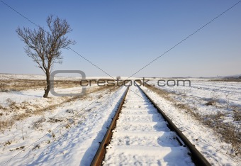 Railroad on the field in winter