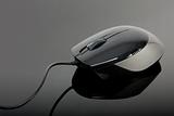 Black computer mouse