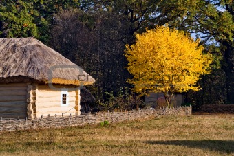 Autumn in Pirogovo