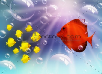 Fish and Bubbles with light, underwater