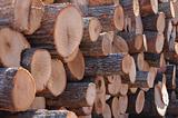 Cut lumber